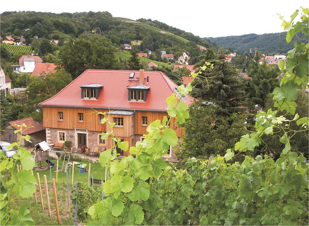 Appartement Weingut Mariaberg à Meissen Extérieur photo