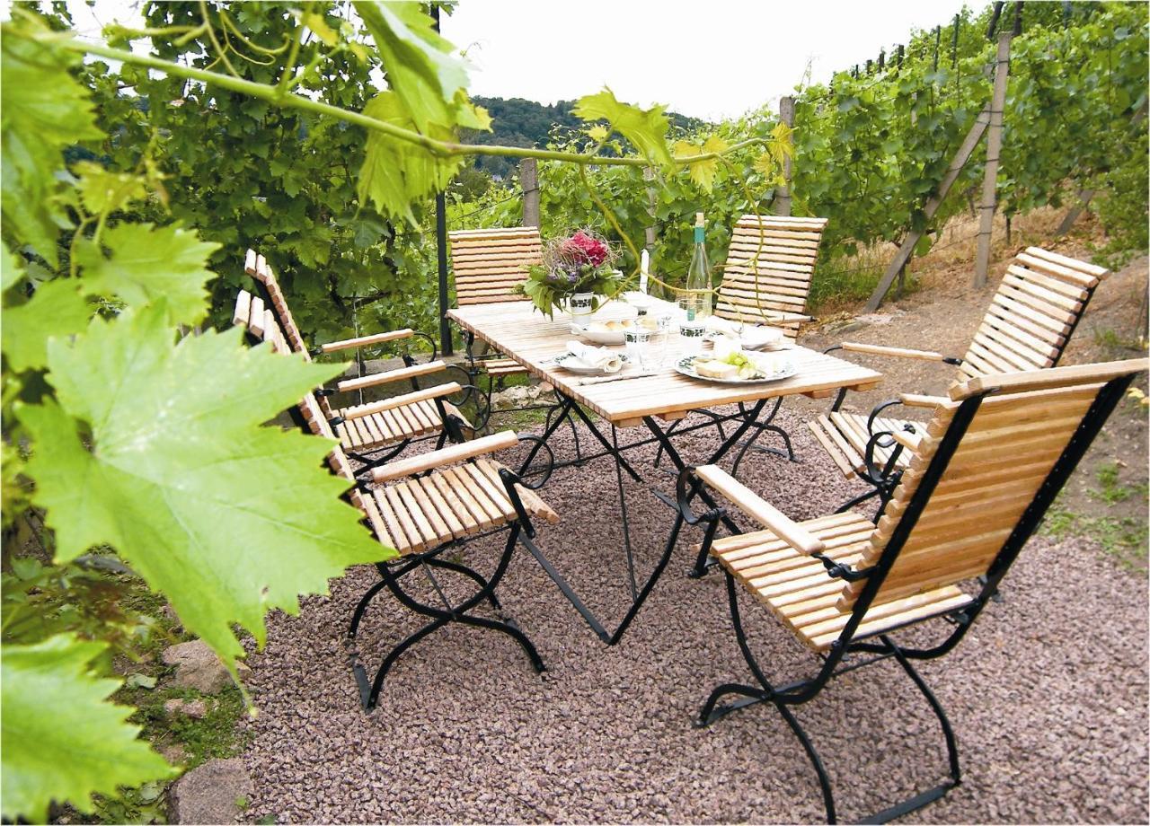 Appartement Weingut Mariaberg à Meissen Extérieur photo